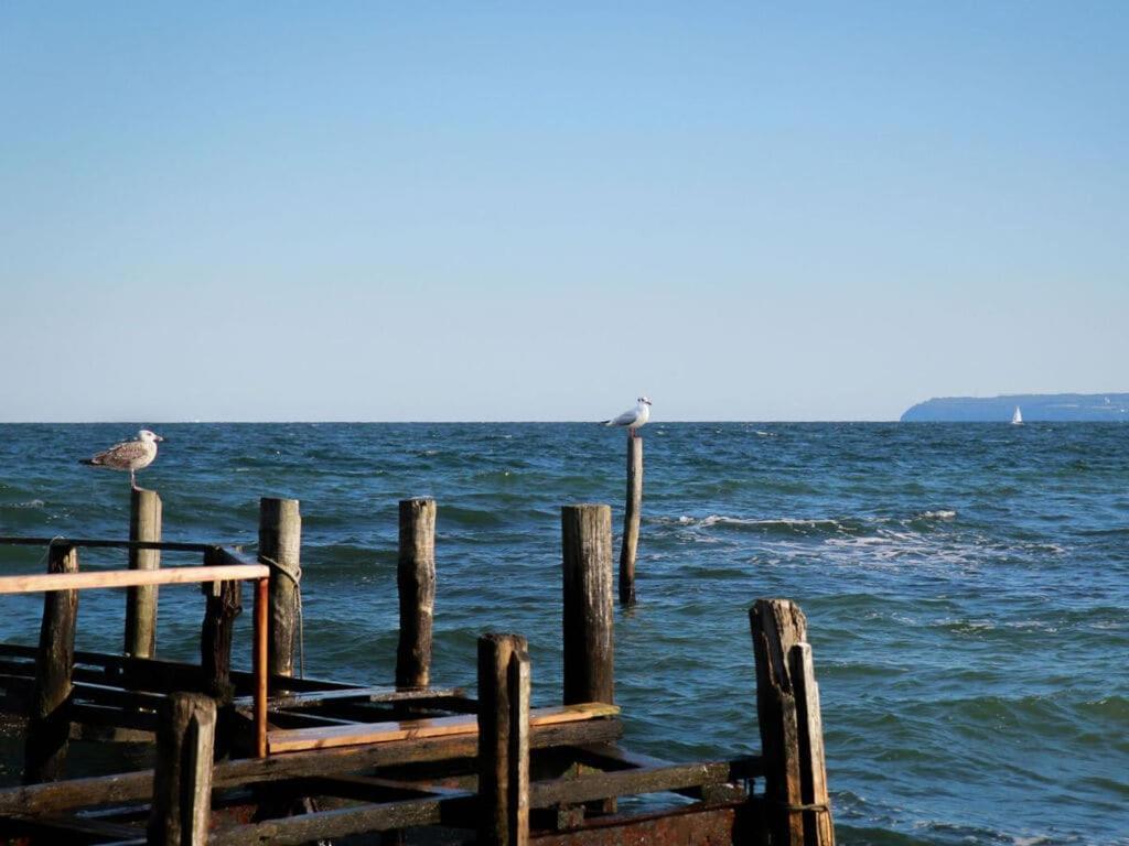 Holiday Home Reet-Seaside 格洛威 外观 照片